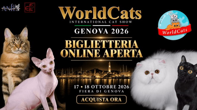 Worldcats a Genova