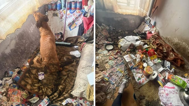 Zaniedbane mieszkanie w Sosnowcu