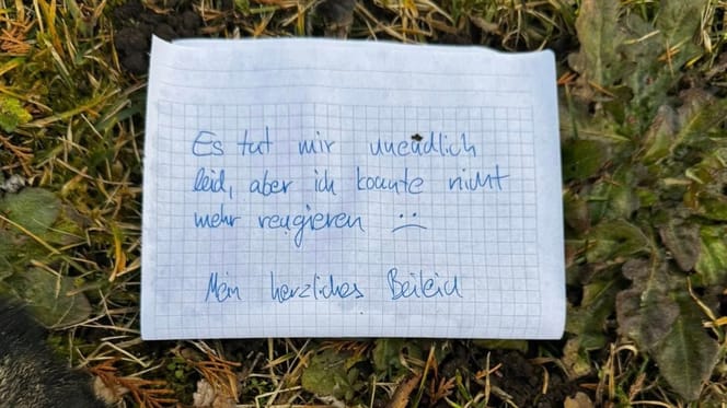 Zettel mit handschriftlicher Nachricht