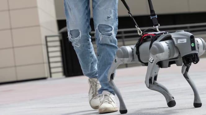 Zijn AI-geleidehonden de toekomst?