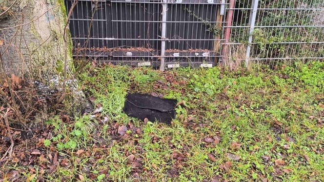 Zwei Automatten im Gras