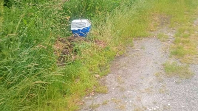 Zwei übereinander gestellte Plastikkörbe im Gras