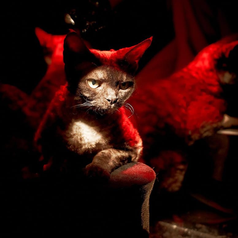 Aleister Von Teese