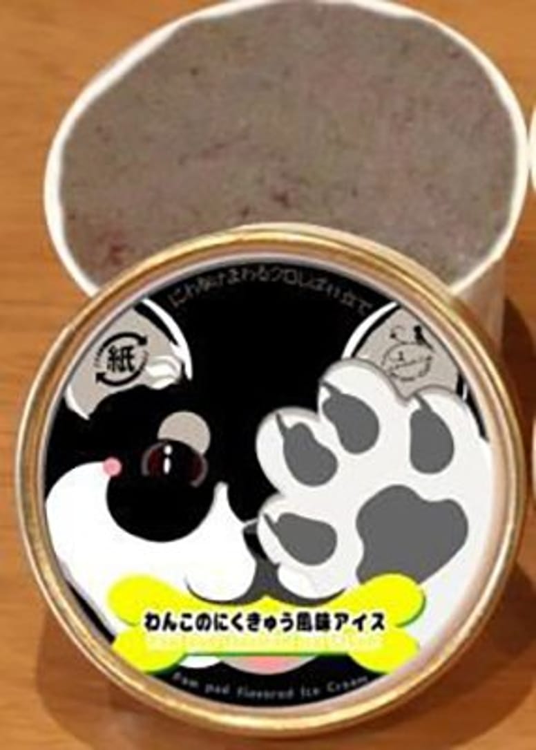 glace patte de chien
