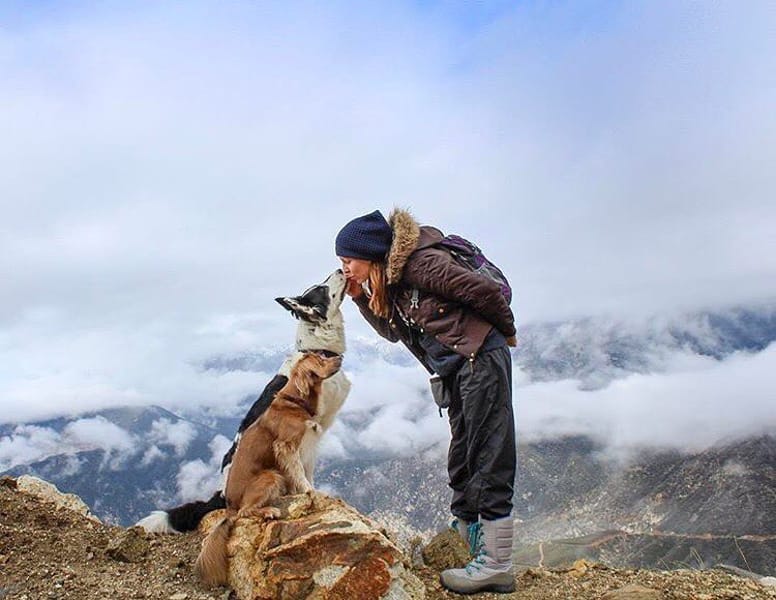 10 bonnes raisons de voyager avec son chat ou son chien