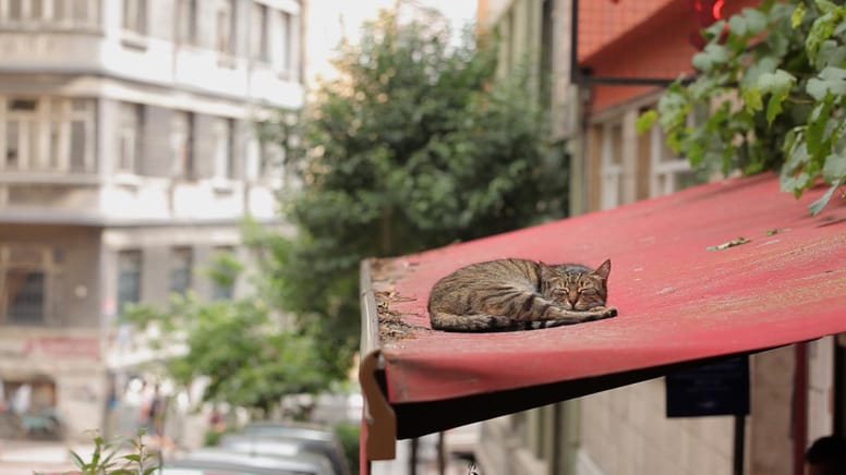 chat istanbul