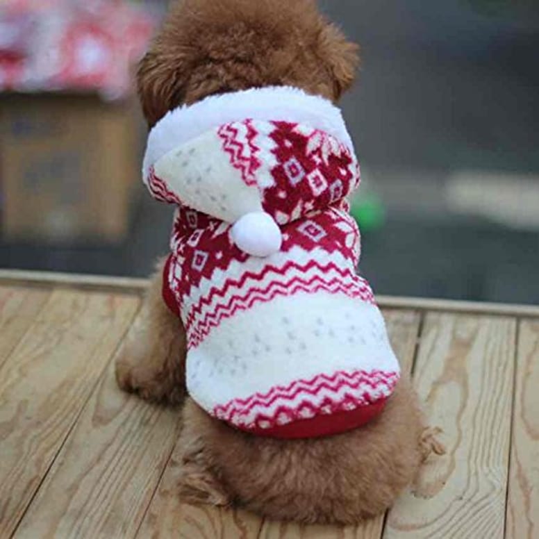 Pull de Noel pour chien