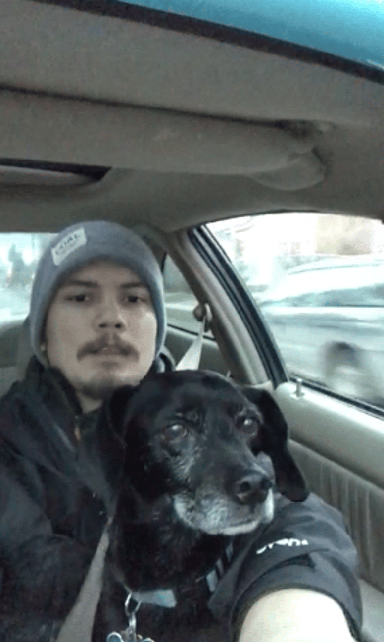 chien perdu sauvé par livreur de pizzas
