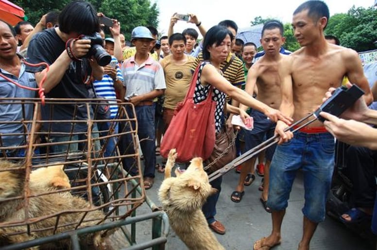 Festival de Yulin