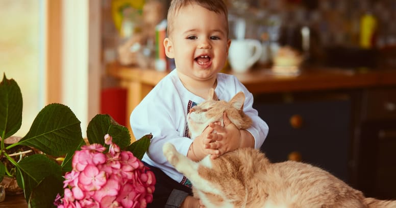 gatos niños