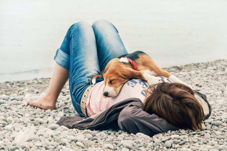 perro durmiendo en la barriga de su dueña
