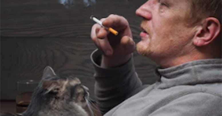 gato tabaco