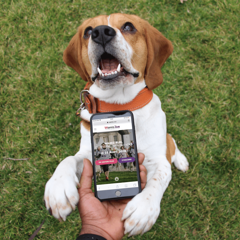 MJ beagle wamiz run
