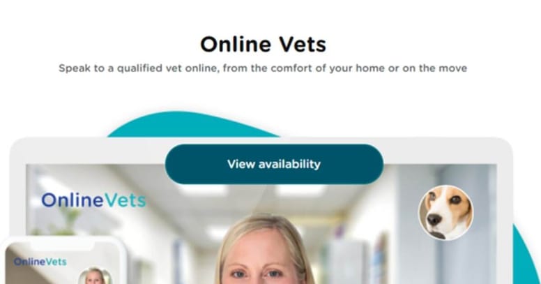 Online Vets