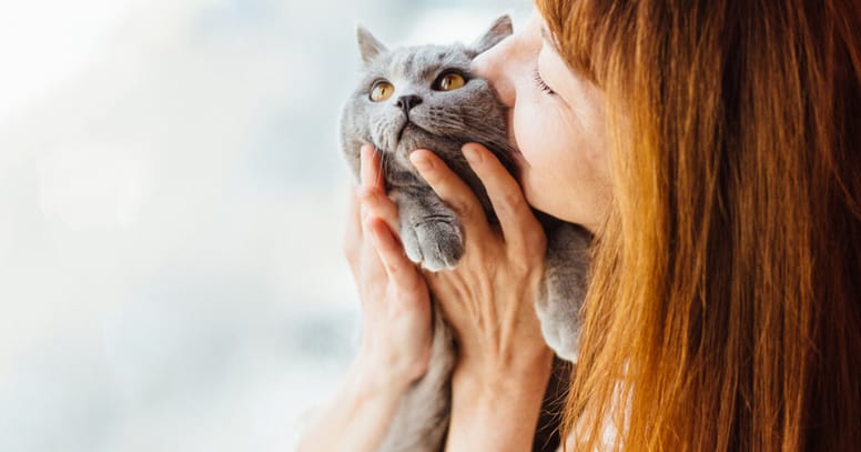 Cat with its foster mum