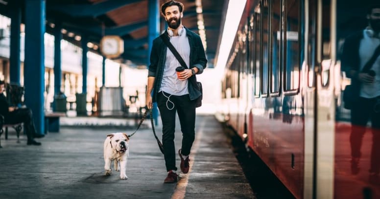 Dog on the platform