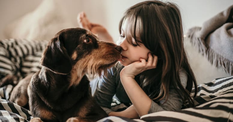 Dog and child in bed