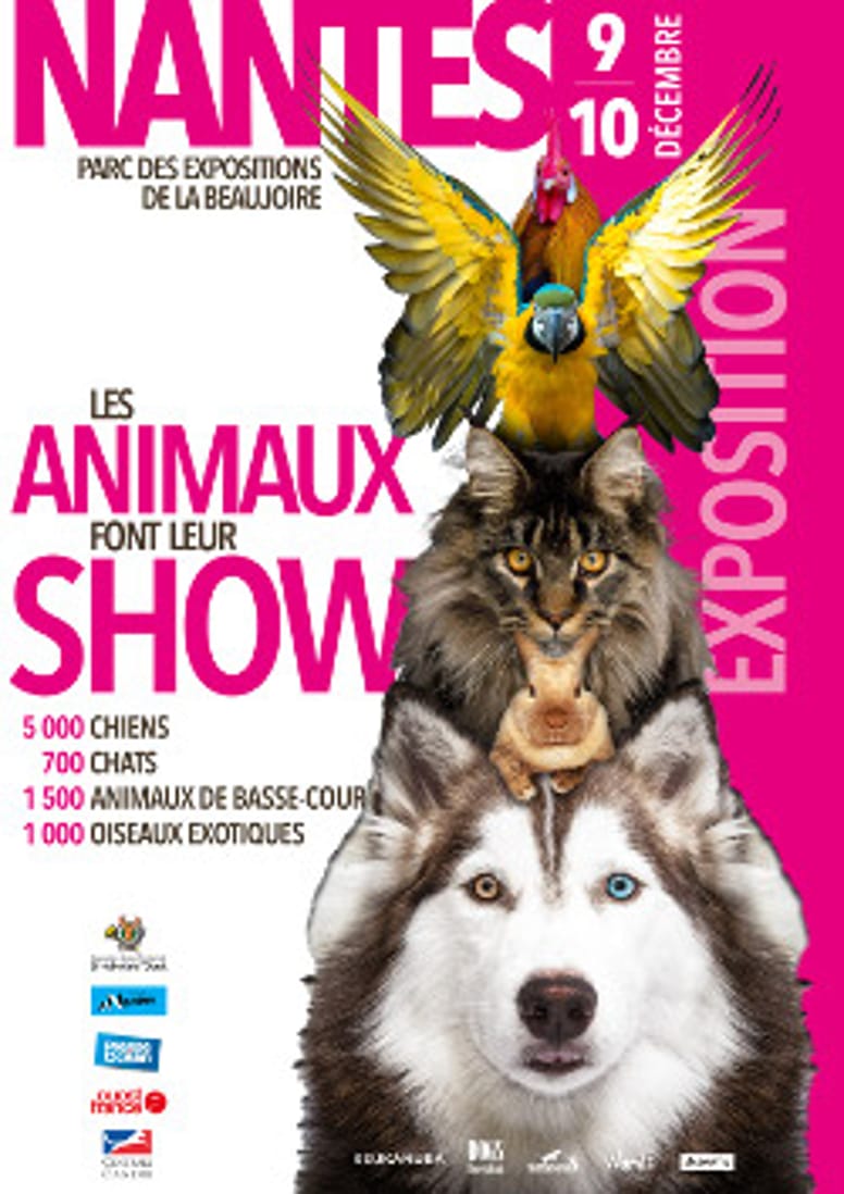 Nantes Les Animaux Font Leur Show 2022 A Nantes, les animaux font leur show ce week-end !