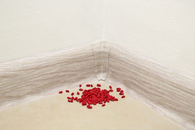 Rotes Rattengift
