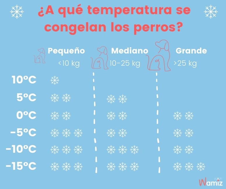 a que temperatura se congelan los perros