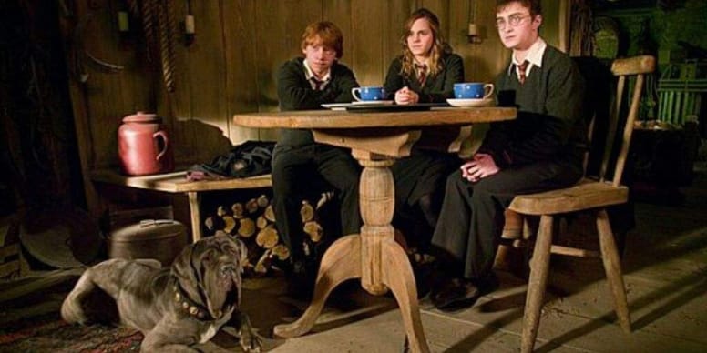 scene of harry potter con fang