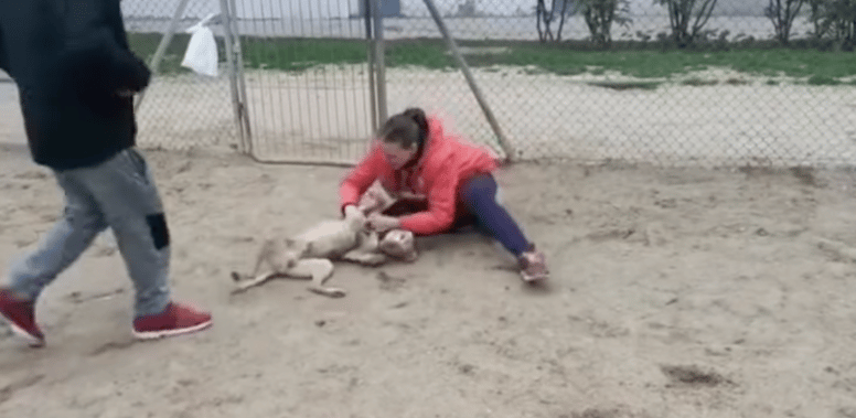 manolito reencuentro con su dueña