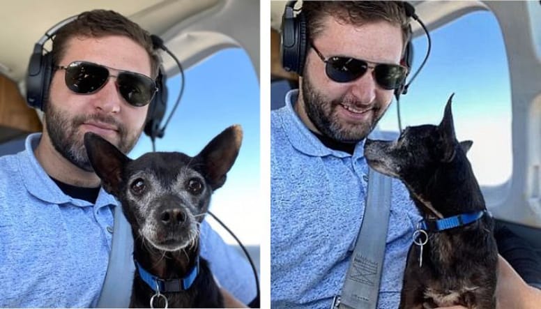 Le pilote avec le chien sur les genoux