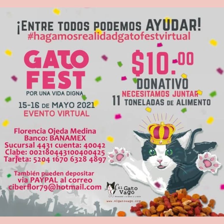 gatofest donacion