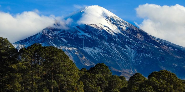poico de orizaba perro