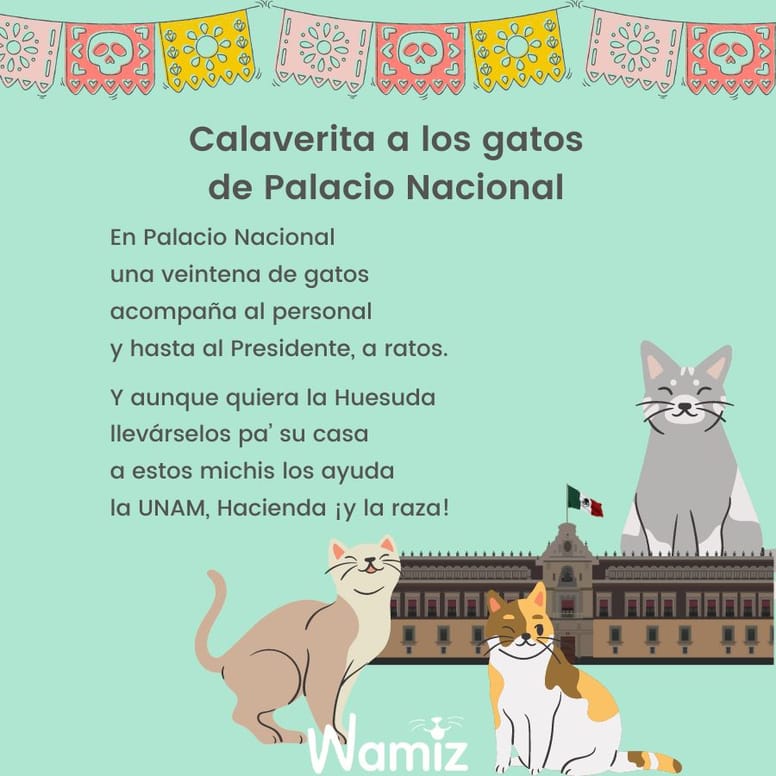 calavera literaria para gatos
