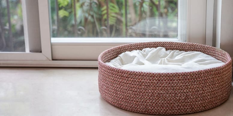 canasta para gato vacia