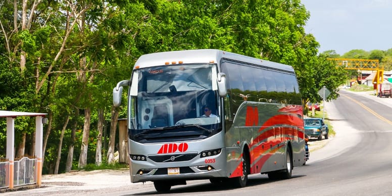lineas de autobuses que permiten mascotas ADO