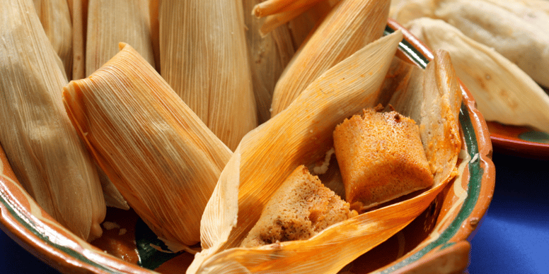tamales pueden comer los gatos