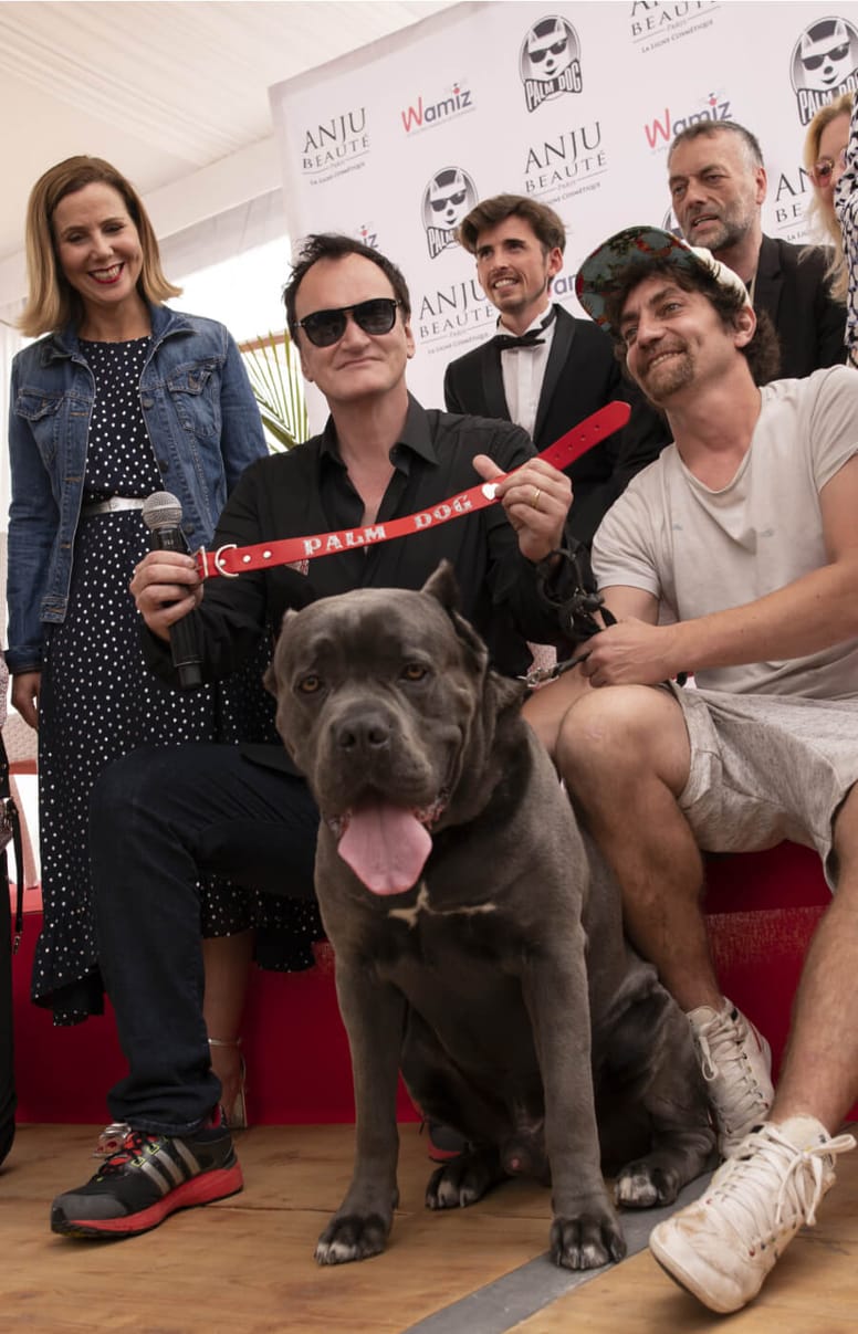 tarantino wamiz palm dog