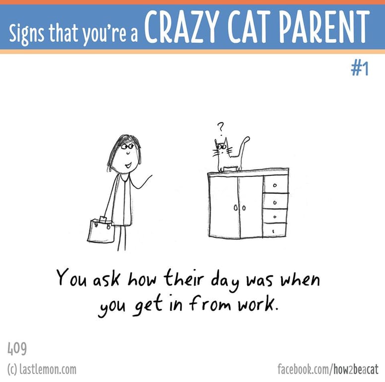 15 illustrations délirantes qui prouvent à quel point vous êtes gaga de votre chat !