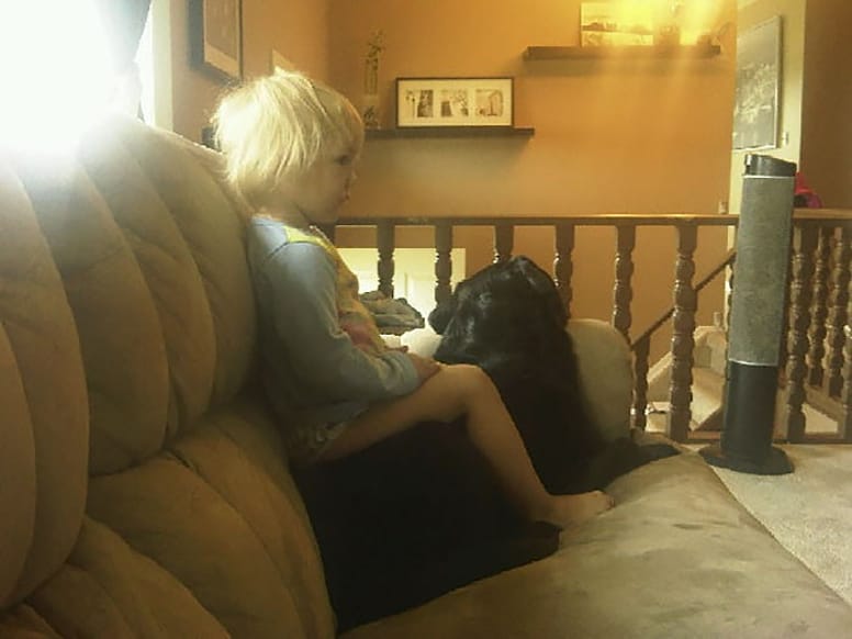 bébé tv chien