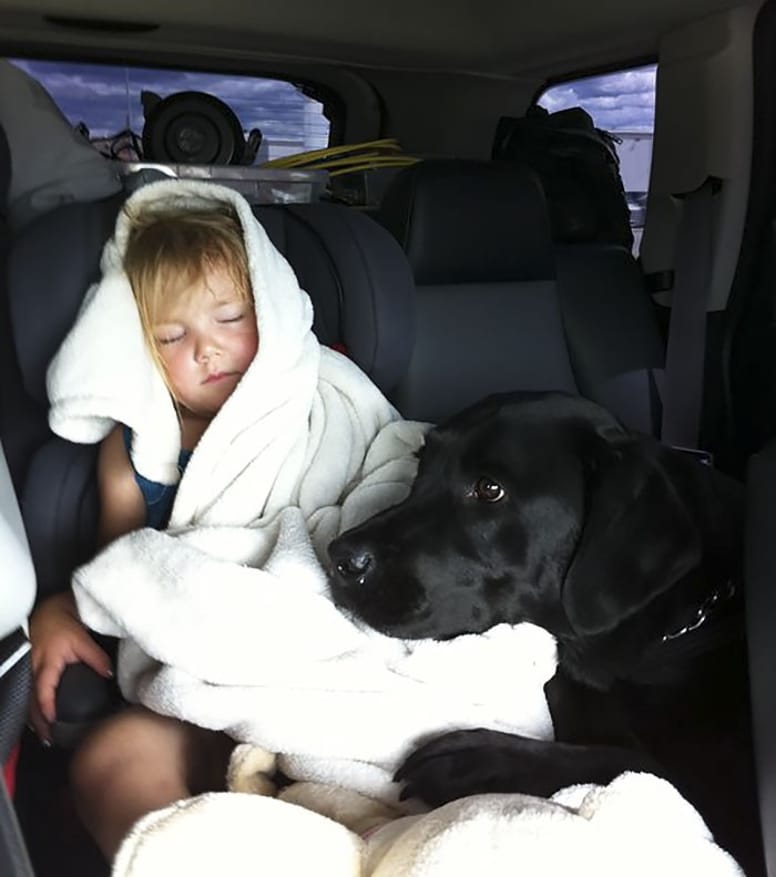 bébé chien inséparables