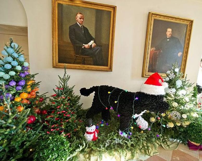 Bo Obama, star de Noël de la Maison Blanche