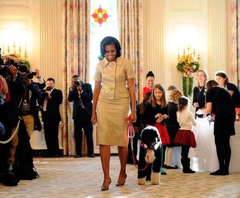 Bo Obama, star de Noël de la Maison Blanche