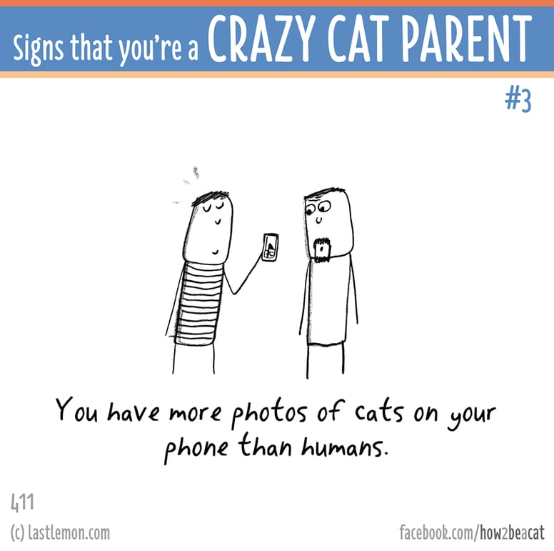 15 illustrations délirantes qui prouvent à quel point vous êtes gaga de votre chat !