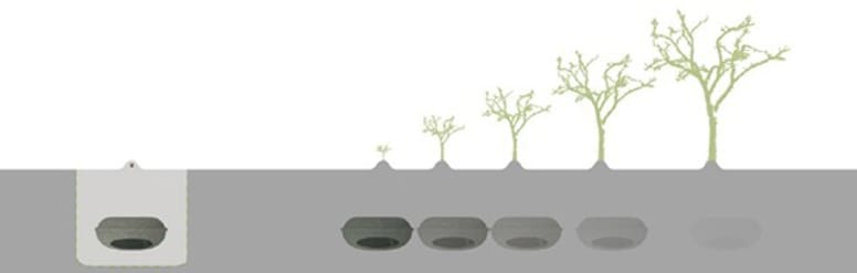 cerceuil écologique pour les animaux de compagnie