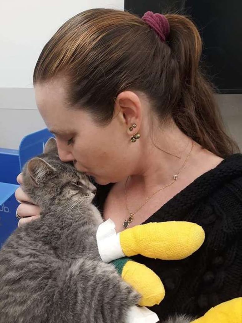 chat calin