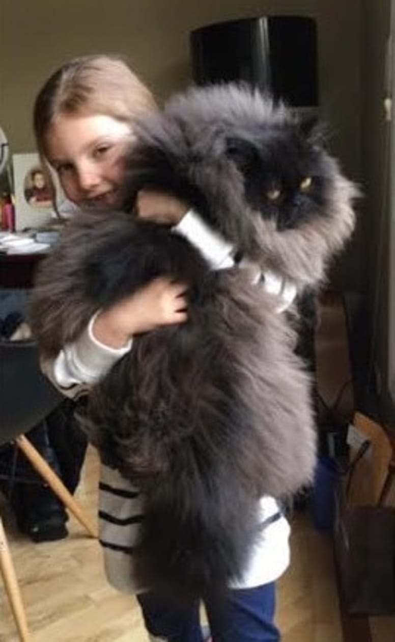 chat xxl