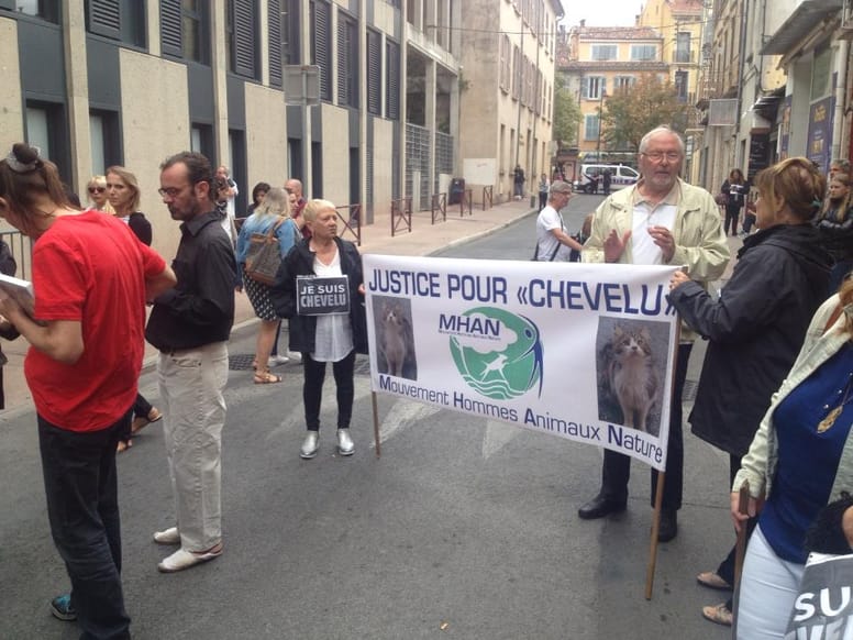 procès chevelu
