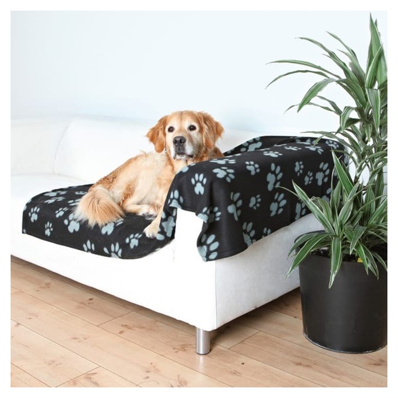 couverture pour chien