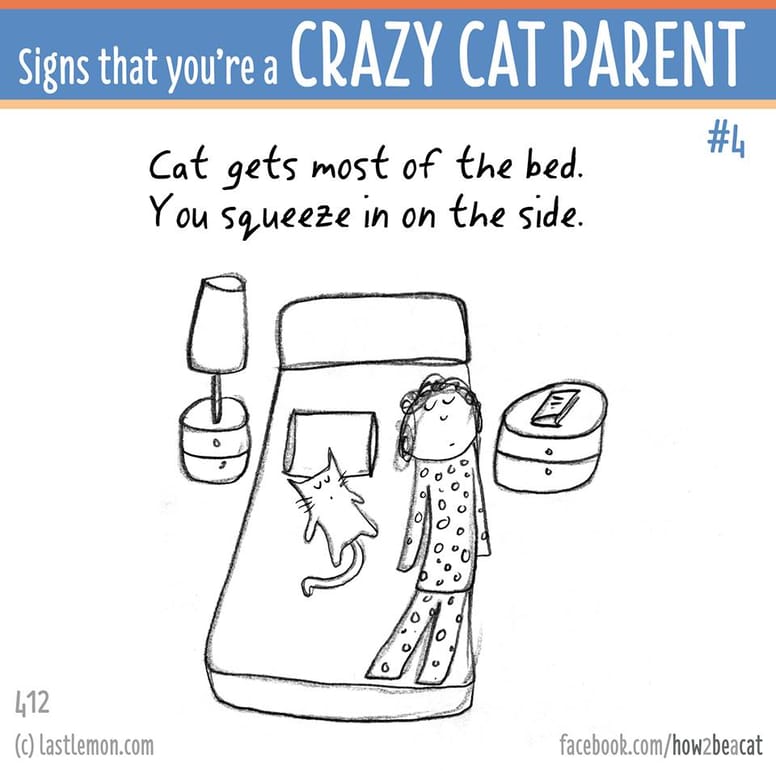 15 illustrations délirantes qui prouvent à quel point vous êtes gaga de votre chat !