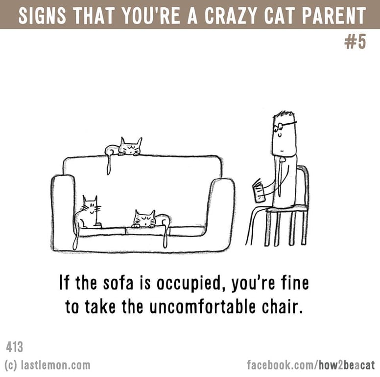 15 illustrations délirantes qui prouvent à quel point vous êtes gaga de votre chat !