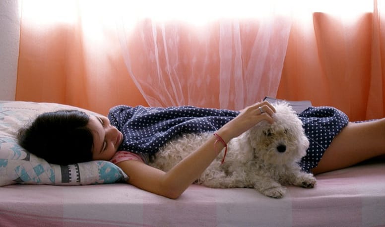 enfant chien
