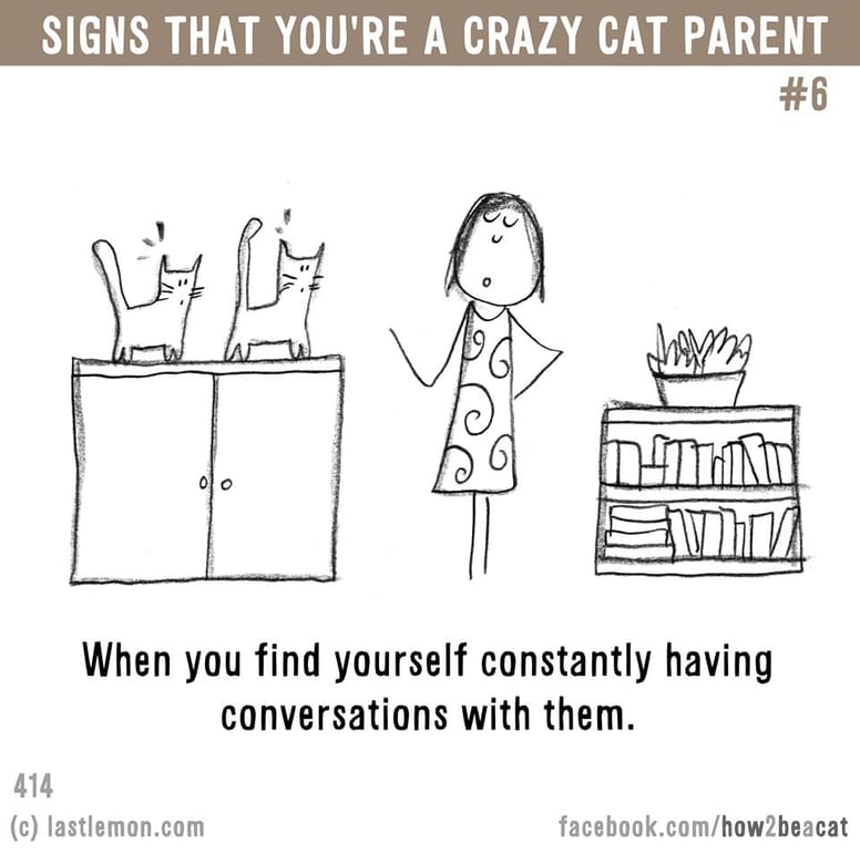 15 illustrations délirantes qui prouvent à quel point vous êtes gaga de votre chat !