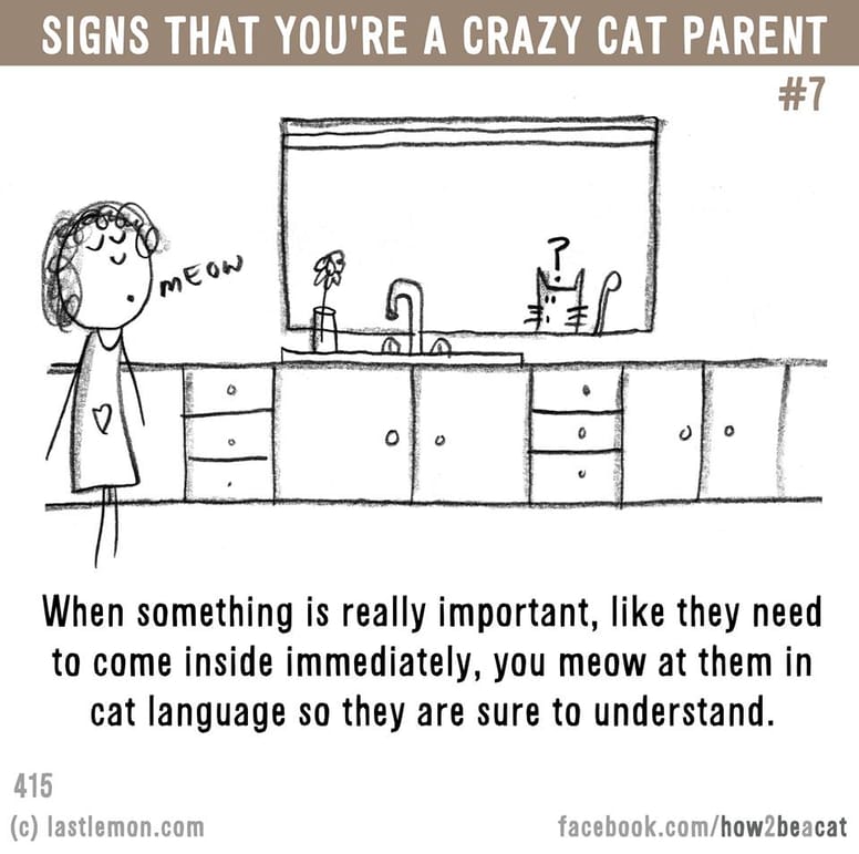 15 illustrations délirantes qui prouvent à quel point vous êtes gaga de votre chat !